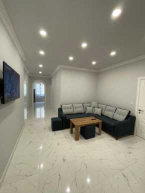 Apartment in the city centre